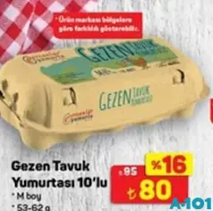 GEZEN TAVUK YUMURTASI 10'LU M BOY 53-62 G